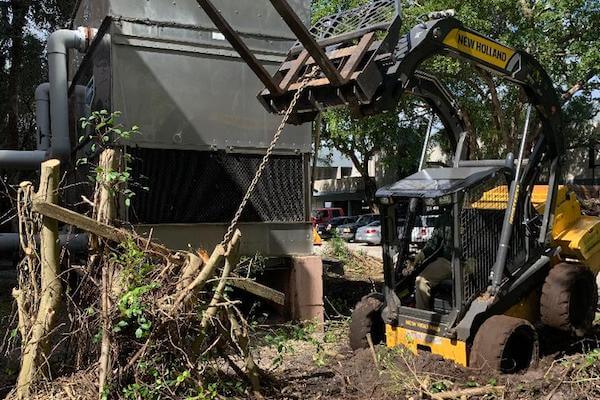 Luigi's South Florida Hurricane Cleanup